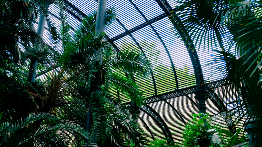arquitetura-biofílica