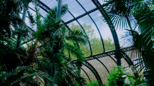 Leia mais sobre o artigo Arquitetura biofílica: por que esse conceito está presente nos empreendimentos de alto padrão