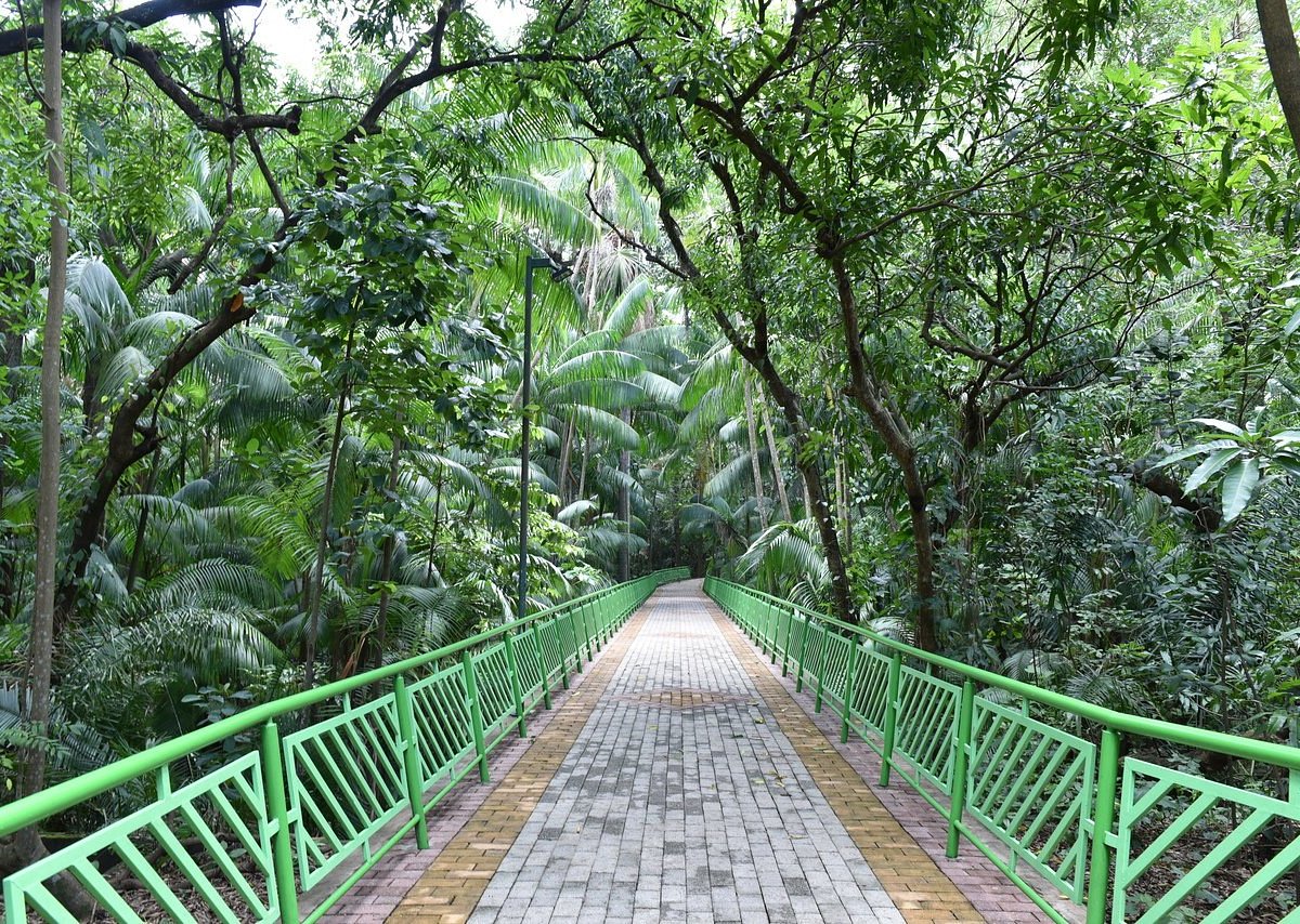 No momento, você está visualizando Como é morar ao lado do Parque Botânico? Muito além da vista, uma mudança na rotina.